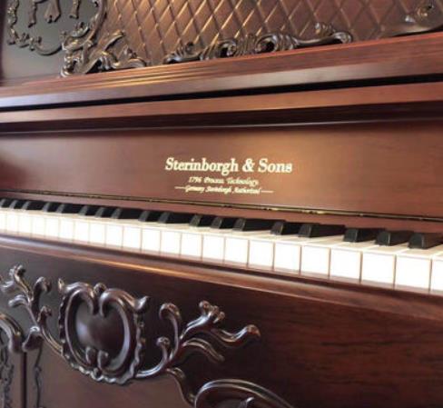 斯坦伯格钢琴加盟实例图片
