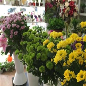 芙兰朵花店加盟案例图片