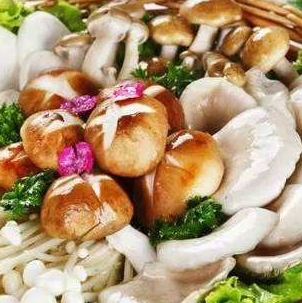 蘑菇宴火锅
