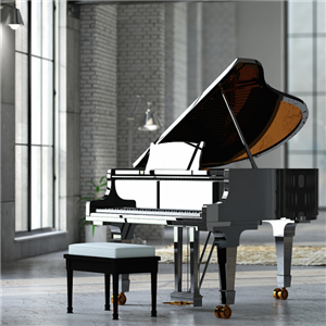 卡丹萨钢琴教育加盟实例图片