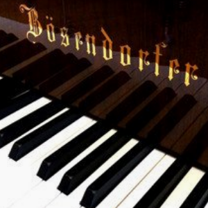 贝森朵夫钢琴加盟案例图片