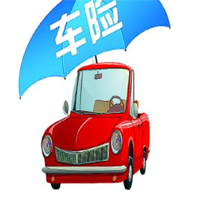 車有惠車險超市店面效果圖