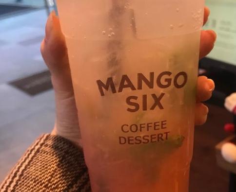 Mango Six加盟图片