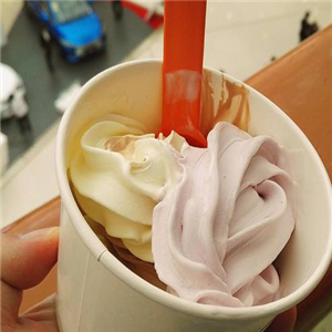 KIWI新西兰酸奶冰激凌加盟案例图片