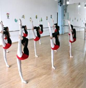 舞之韵艺术培训中心加盟实例图片