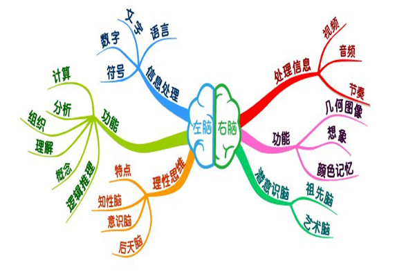 全腦教育有利于青少年的成長(zhǎng)