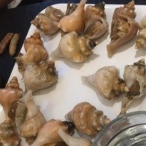 鼎香园海鲜自助火锅加盟实例图片