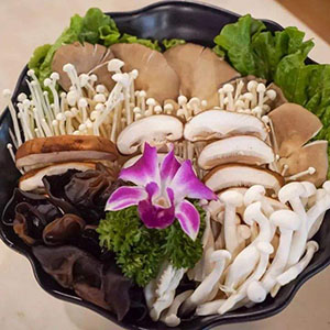 武陵山珍菌菇火锅加盟图片