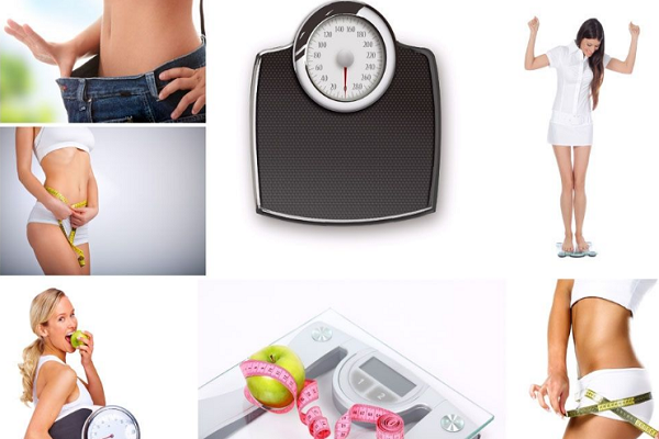 赛珂妃思有助于调节体脂有助于调节体脂加盟