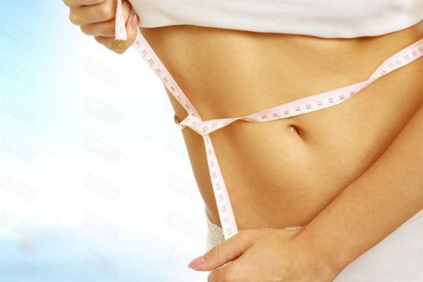 赛珂妃思有助于调节体脂有助于调节体脂加盟