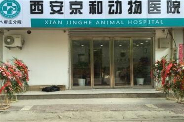 京和动物医院加盟