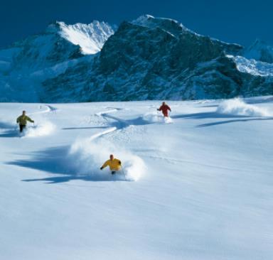 采尔马特滑雪加盟图片