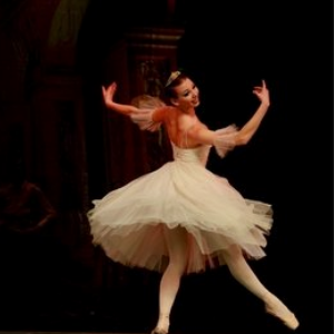 皇家芭蕾舞加盟案例图片