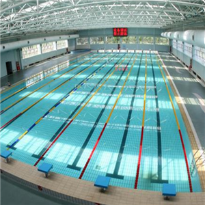 奥体中心游泳馆加盟图片