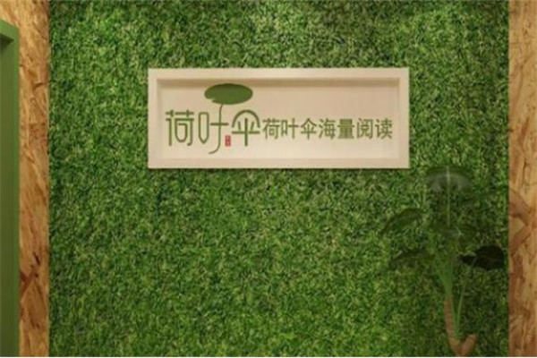 荷叶伞4_副本.jpg