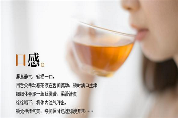 金线莲养肝茶加盟