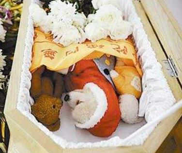 宠物殡葬加盟图片
