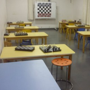 新蕾国际象棋俱乐部加盟图片