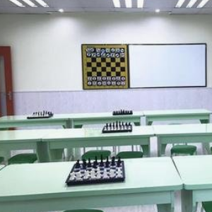 树龙国际象棋俱乐部加盟实例图片