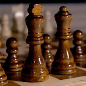 树龙国际象棋俱乐部加盟图片