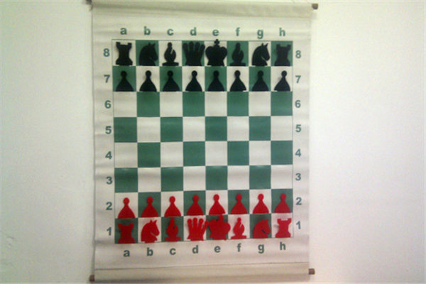 树龙国际象棋俱乐部加盟
