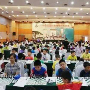 天星国际象棋加盟案例图片