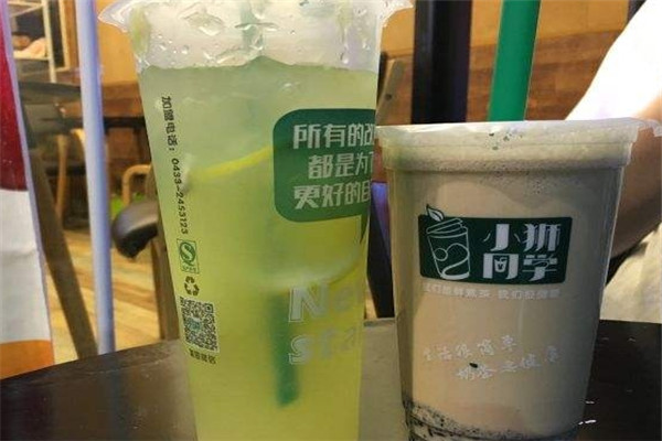小狮同学加盟.jpg