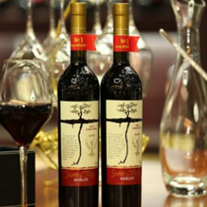 摩尔多瓦葡萄酒加盟图片