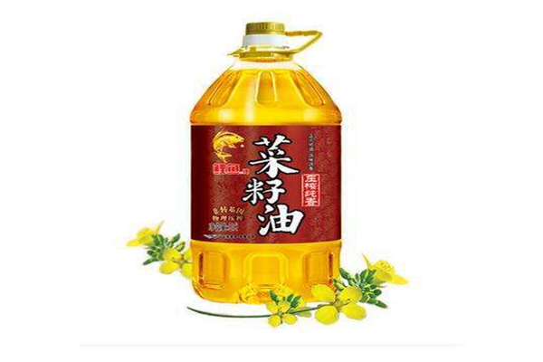 鯉魚(yú)牌菜籽油加盟