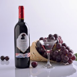 卡思特葡萄酒加盟图片