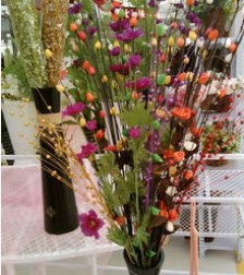 东风国际花卉加盟案例图片