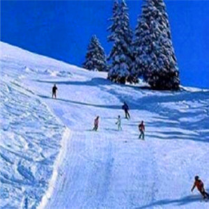 雪世界滑雪场加盟案例图片