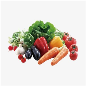 万银蔬菜食品加盟图片