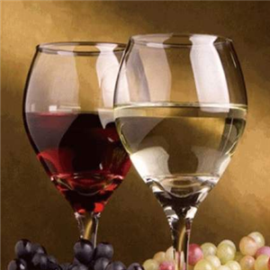 怡龙干红葡萄酒加盟实例图片