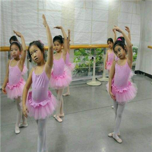 宋艺舞蹈加盟案例图片