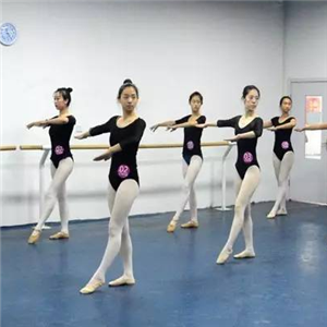 舞研艺考加盟案例图片