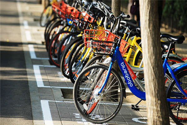 共享单车是大众出行的新选择