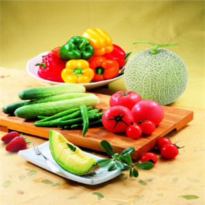 龙鑫蔬菜加盟图片