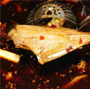 吃城都鲜鱼火锅加盟图片