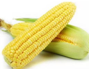 瑞隆甜玉米粒加盟案例图片