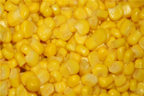 瑞隆甜玉米粒加盟