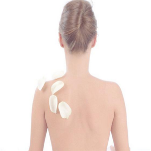 Ageless颜持日式皮肤管理店面效果图