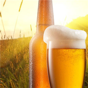 澳麦原酿啤酒加盟实例图片