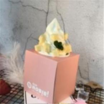 NOBiBi仙女冰淇淋加盟图片