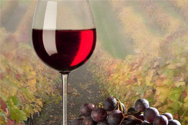紫钟堡干红葡萄酒加盟
