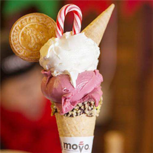 Movo意大利冰淇淋加盟实例图片