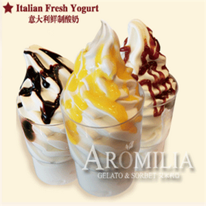 艾米利亚意式冰淇淋加盟案例图片