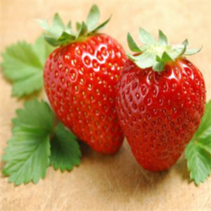 河滩镇草莓加盟实例图片