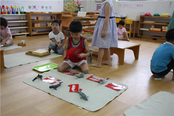 蒙特梭利早教教学模式新颖