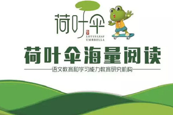 荷叶伞 (2).png